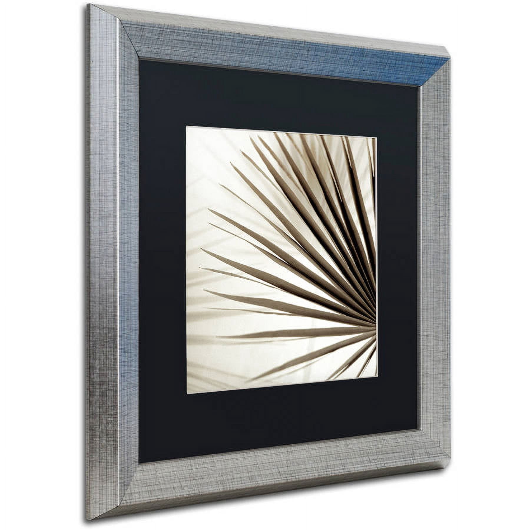 Trademark Fine Art "Florison 66" Canvas Art by Alan Blaustein, Black Matte, Silver Frame