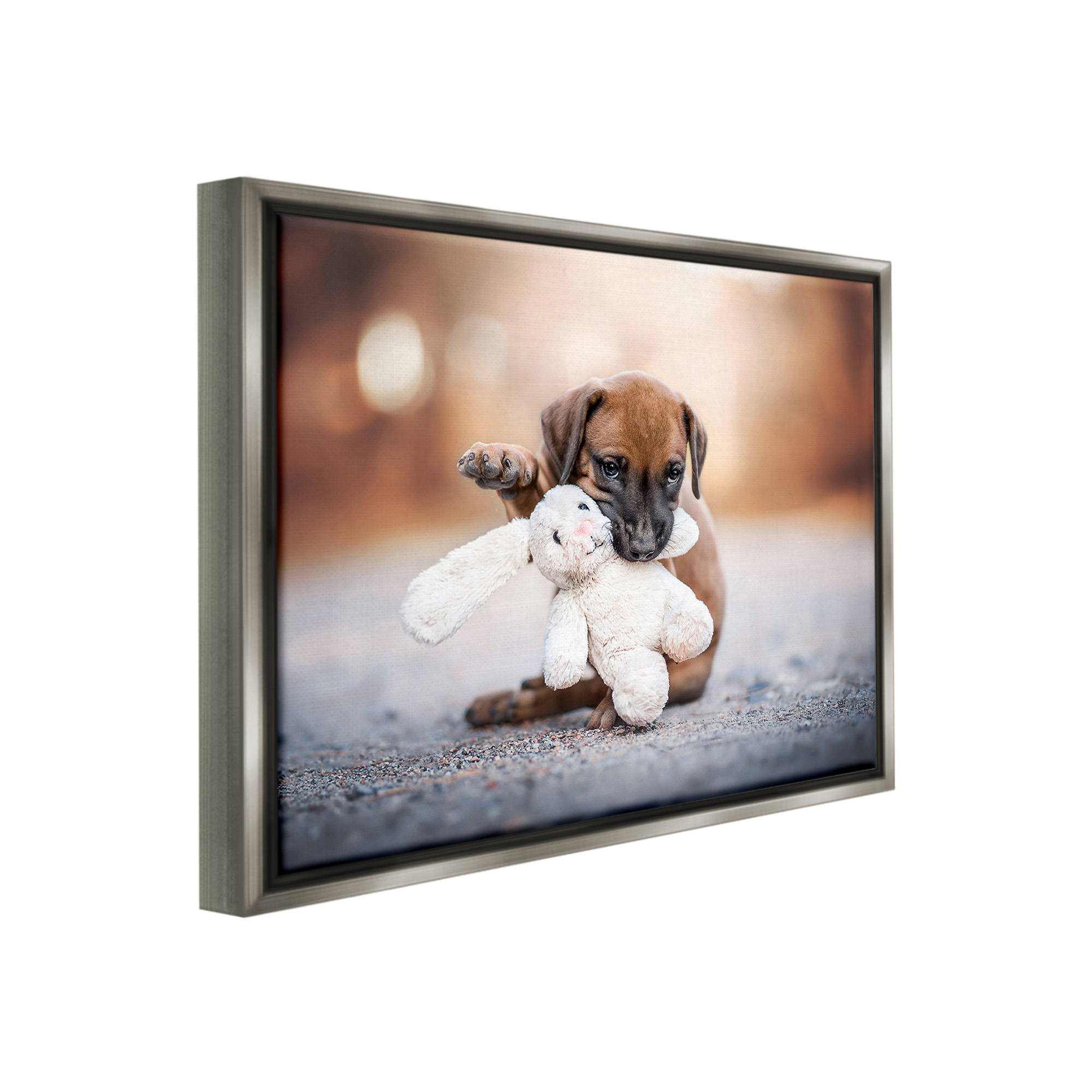 Stupell Industries Puppy with Plushie Toy Animals & Insects Painting Gray Floater Framed Canvas Art Print Wall Art, 31 x 25