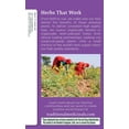 thumbnail image 3 of Té laxante, Traditional Medicinals, Smooth Move, 32 bolsitas, 3 of 9