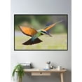 thumbnail image 2 of Rainbow Bee-Eater 450 Poster Wall Art, Modern Wall Decor For Living Room Bedroom, 24x36 UNFRAMED, 2 of 3