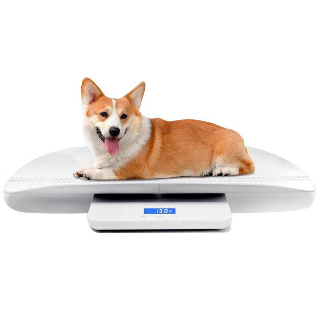 Mindpet-med Escala Digital para Mascotas para medir Perro y Gato con 3 Modos de pesaje (kg/oz/LB), Capacidad de 220 Libras (lbs) con precisión de 0,35 onzas