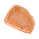 thumbnail image 1 of Plato de comida para reptiles de resina Unique Bargains, plato de comida para lagartos, tazón de agua para tortugas 4.72"x3.74"x0.98" Naranja, 1 of 6