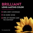 thumbnail image 4 of 2 Pack - Garnier Olia Oil Powered Permanent Color 1.0 Black 1 Each, 4 of 6