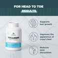 thumbnail image 3 of Collagen Peptides by Ancient Nutrition, Collagen Peptides Tablets, Unflavored Hydrolyzed Collagen, Supports Healthy Skin, Hair, Joints, Gut, Gluten Free, Paleo, and Keto Friendly, 30 Count, 3 of 6