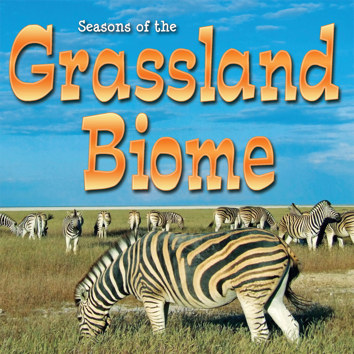 Biomes: Seasons of the Grassland Biome (Paperback) 