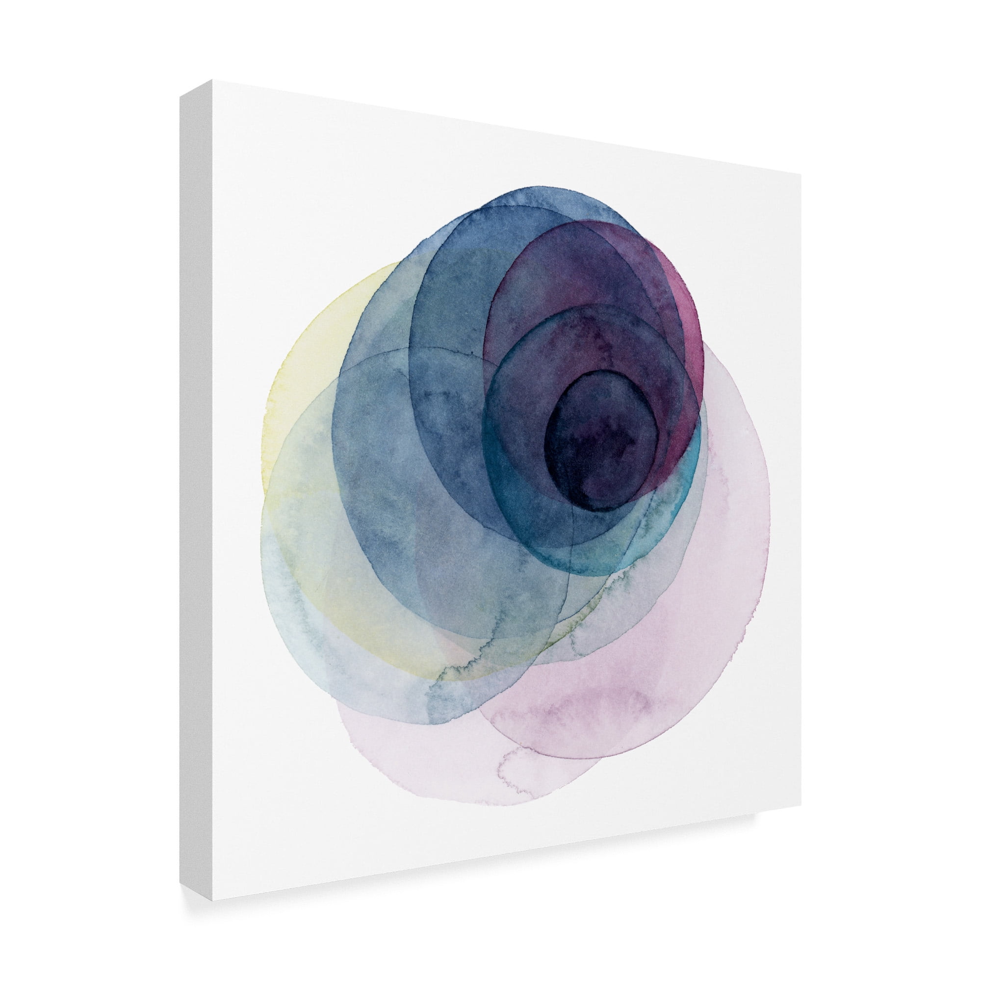Trademark Fine Art 'Evolving Planets III' Canvas Art by Grace Popp