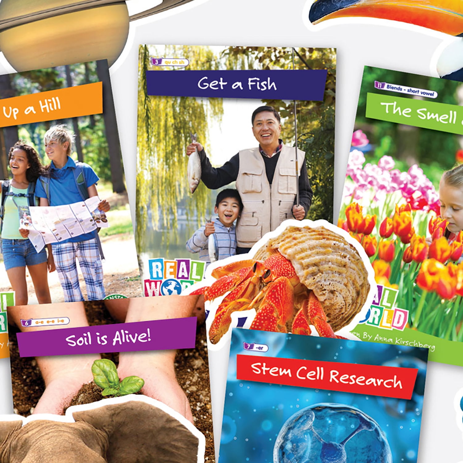 Junior Learning: Real World - Phases 2-6 Box Set - Non-Fiction Hi-Lo Decodables, 60 Books, Week-By-Week Rainbow Phonics, Kids Reading Development