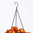 thumbnail image 5 of Nearly Natural 24in. UV Resistant Artificial Chrysanthemum Hanging Basket (Indoor/Outdoor), 5 of 10