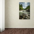 thumbnail image 3 of Trademark Fine Art "Waterland" Canvas Art by Philippe Sainte-Laudy, 3 of 3