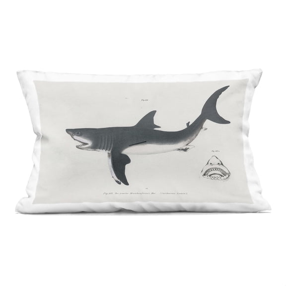 Stupell Industries Detailed Shark Diagram Design by Phillipa Katz Throw Pillow
