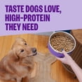 thumbnail image 3 of Wellness CORE Dry Dog Food, Small Breed, Grain Free, High Protein, Natural, Original Turkey & Chicken Recipe, (4-Pound Bag), 3 of 9