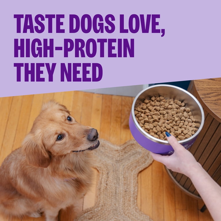 Free Shipping! Wellness CORE Senior Dry Dog Food 24-Pound Bag with