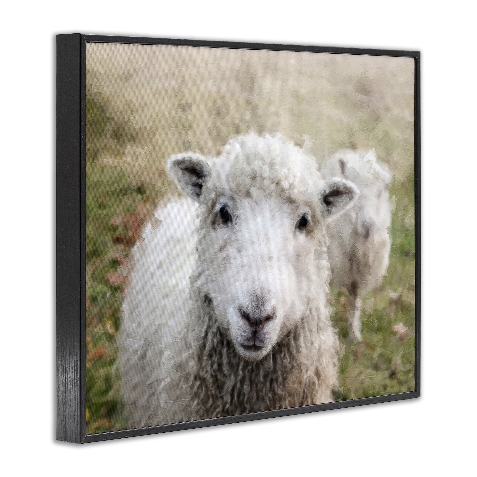 Stupell Industries Close Up Sheep Gaze Animals & Insects Painting Black Framed Art Print Wall Art, 20 x 16