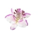 thumbnail image 1 of Horquilla Sonducket con Patrón de Flores Accesorio para el Cabello Blanco Púrpura, 1 of 6