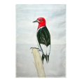 thumbnail image 1 of Betsy Drake FL310G Drapeau 28 x 40 Pouces, 1 of 1