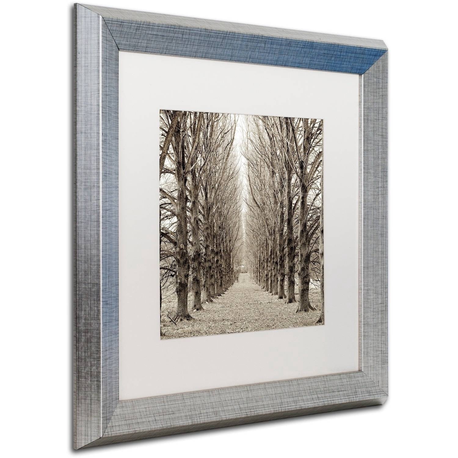 Trademark Fine Art "Hampton Gates Promenade III" Canvas Art by Alan Blaustein, White Matte, Silver Frame