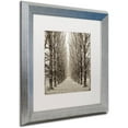thumbnail image 2 of Trademark Fine Art "Hampton Gates Promenade III" Canvas Art by Alan Blaustein, White Matte, Silver Frame, 2 of 4