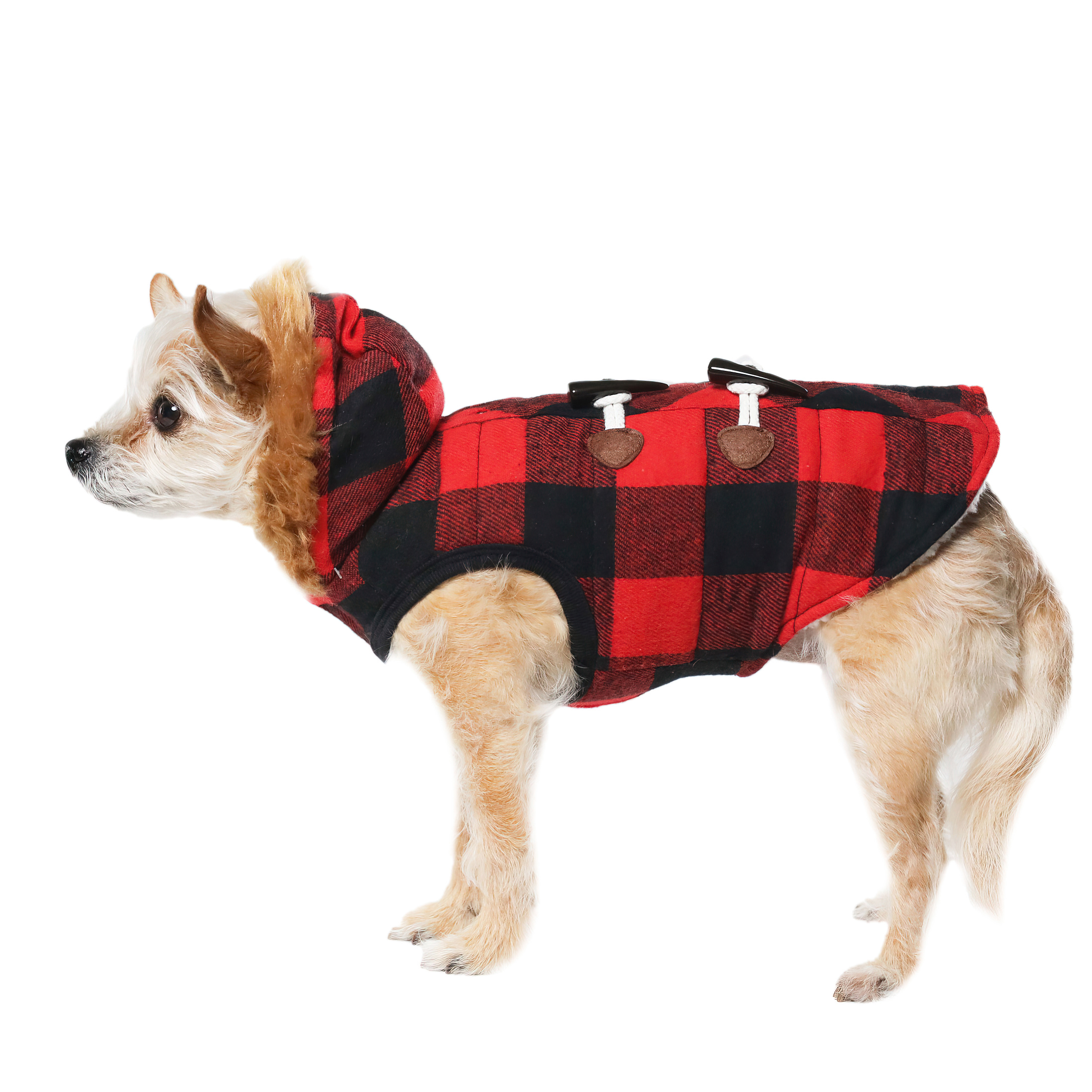 pet valu dog clothes