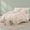 Beige-King, variant on Beige King Size Ruffled Microfiber Comforter Set, Shabby Chic Boho Farmhouse Bedding for All Season