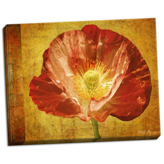 Gango Home Decor Sun Poppy II by Vitaly Geyman (Ready to Hang); One 28x22in Hand-Stretched Canvas
