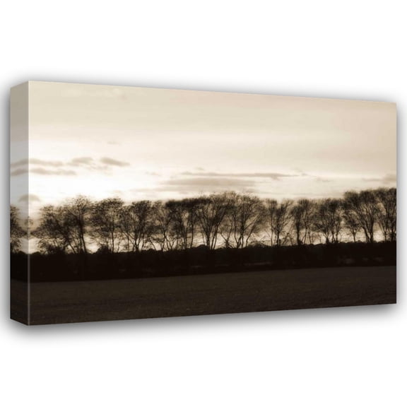 Alan Hausenflock 32x23 Gallery Wrapped Canvas Wall Art Titled - Winter Sunset II