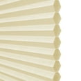 thumbnail image 5 of Lumi Cordless White/ Ivory/ Mocha Honeycomb POP Shades Light Filtering 24 W x 64 H Inches - Ivory, 5 of 5