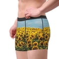 thumbnail image 4 of Fotbe Blooming Sunflower Field Men’s Total Support Pouch Boxer Briefs, X-Temp Cooling, Moisture-Wicking Underwear, Regular, Long-leg and Trunk-Small, 4 of 9