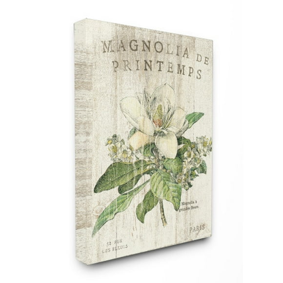 (canvas, 24x30) - The Stupell Home Decor Collection French Magnolias In Spring Oversized Stretched Canvas Wall Art