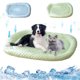thumbnail image 1 of Fiudx Ofertas Flash Del Día Colchoneta Fresca De Verano, Colchoneta Para Dormir, Absorción De Agua, Materiales Superiores E Inferiores, Seguro, Fácil De Transportar, Mantiene Fresco Para Mascotas, Ni, 1 of 7