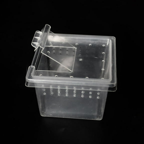 PBPBOX 10Pcs Clear Plastic Reptile Case for Snakes and Tortoises with Feeding Function