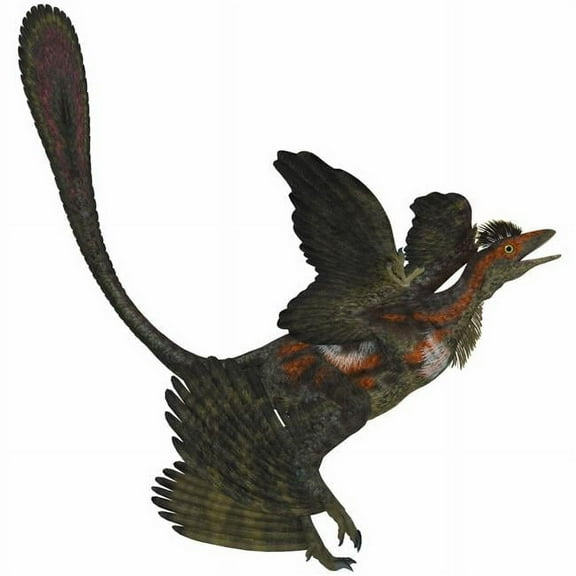 The Microraptor Was A Small Flying Dinosaur with Four Wings in The Cretaceous Period of China Poster Print 14 x 14