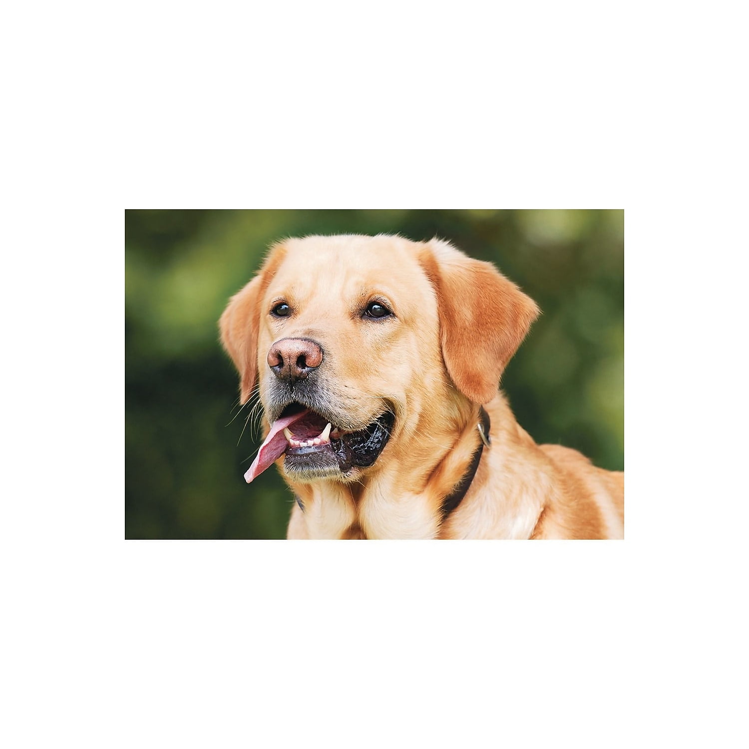 Thera Jigsaw Foam Puzzle Set 5 Set Of 4