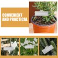 thumbnail image 3 of RENACLIPY 8Ud Placas Metálicas Para Plantas Plateadas Reutilizables Para Uso En Huertos Y, 3 of 8