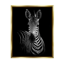 Stupell Industries Striking Greyscale Monochrome Zebra Photography Portrait Metallic Gold Framed Floating Canvas Wall Art, 16x20, by Incado