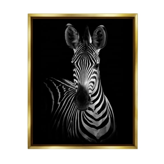 Stupell Industries Striking Greyscale Monochrome Zebra Photography Portrait Metallic Gold Framed Floating Canvas Wall Art, 16x20, by Incado