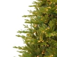 thumbnail image 6 of Seasonal LLC 7.5FT Dandan Pine Christmas Tree, 50 Inches Diameter, Pre-Strung with 2200 Warm White LED Lights, Long-Lasting LED Bulbs, Tree Storage Bag, 6 of 10