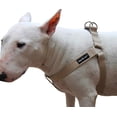 thumbnail image 2 of Cotton Web Adjustable Dog Step-in Harness 4 Sizes Beige (Medium: 12"-21" Chest; 3/4" Wide), 2 of 2
