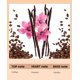 thumbnail image 2 of Perfume PUREAMOR Eau De Parfum para mujer, café y vainilla, 2 of 7