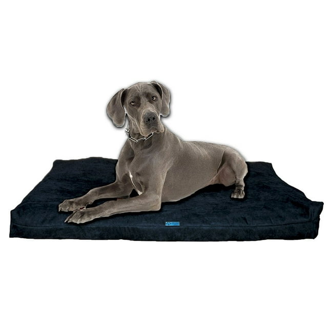Five Diamond Collection Shredded Memory Foam Orthopedic Dog Bed, Made In USA (Navy,Extra Large Breed Dogs, 55" x 37")
