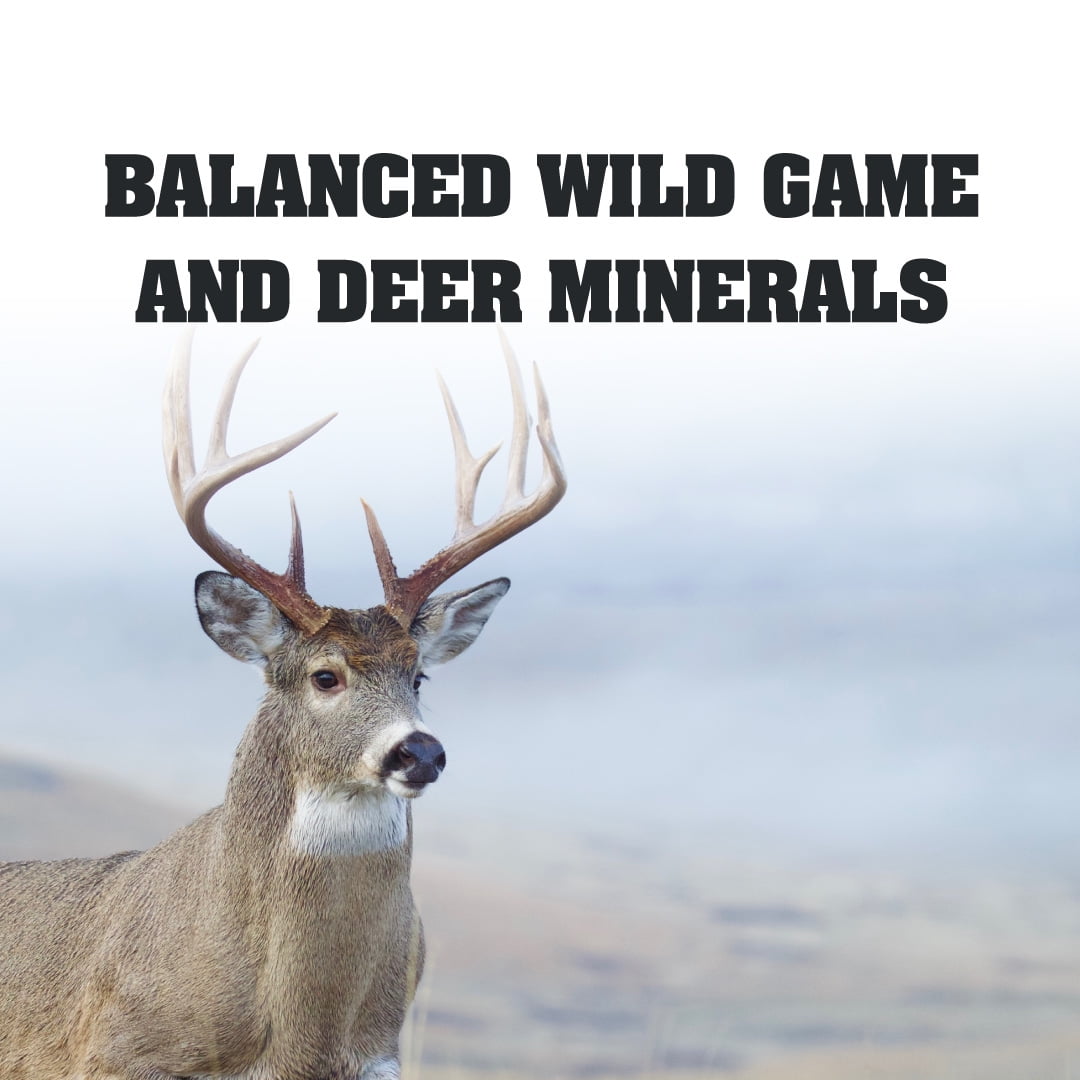 Manna Pro Deer and Wild Game Block - 20lb