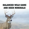 thumbnail image 3 of Manna Pro Deer & Wild Game Attractant Block, 20 lb, 3 of 15