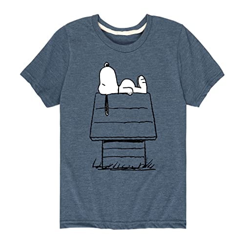 Peanuts - Snoopy On Doghouse - Toddler and Youth Short Sleeve Graphic T-Shirt - Size 2T Heather Blue