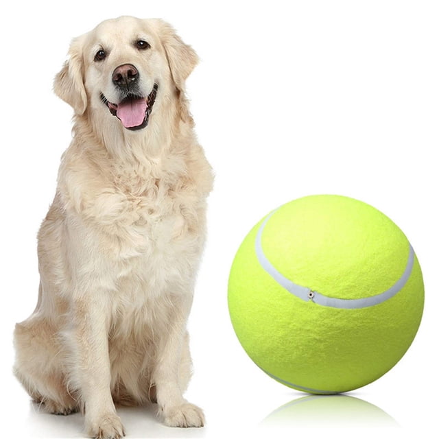 XWSHYW Juguetes para Perros Pequeños Tenis Inflable Grande, Juguetes para Perros Adultos para Niños (Enviados Desinflados)