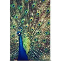 Great BIG Canvas | "Royally Blue I" Art Print - 24x36