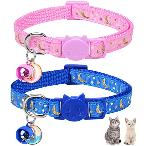 cute boy cat collars