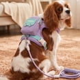 thumbnail image 7 of 2‑in‑1 Dog Harness Backpack With Leash, Reflective Adjustable Anti‑Pull Vest With Storage Pouch, Breathable Outdoor Walking Gear For Small Dogs, 7 of 7