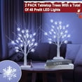 thumbnail image 2 of Tabletop Christmas Tree, 2 Pack Lighted Birches Tree Small Christmas Tree, Prelit 48 Snowflake White Lights Timer, Battery Operated Adjustable Branches Xmas Decor Home Indoor Mantel 18 inch White, 2 of 5