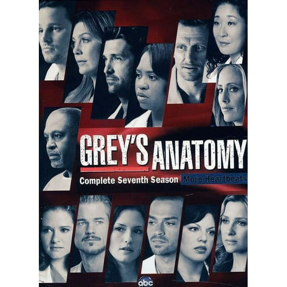 Pre-Owned Grey's Anatomy: Complete Seventh Season (DVD) (Used - Good)