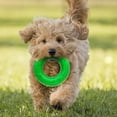 thumbnail image 2 of NERF TPR Beef Super Scent Ring Dog Chew Toy 5in, 2 of 4