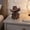 farmhouse decor, variant on Cowboy Bull Figurine, Country Western Style Mini Cow Statue, Desktop Cow Decor For Home Office, Farmhouse Country Decor, Collectible Cow Figurine For Holidays & Festive